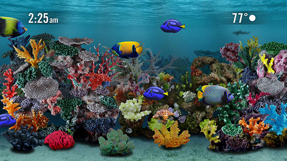aquarium_ss_tropicalfish.jpg